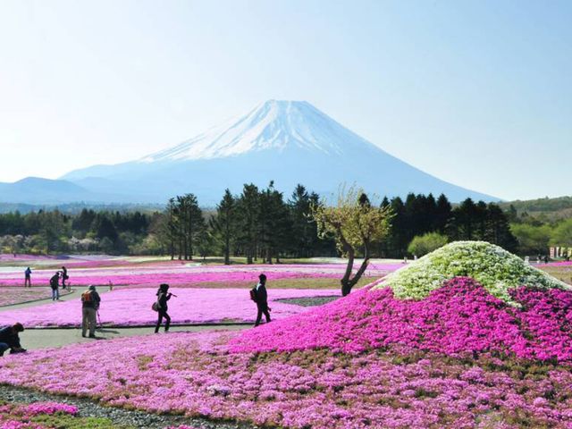 GORA - OWAKUDANI - OSHINO HAKKAI - KAWAGUCHIKO - MOUNT FUJI - TOKYO.