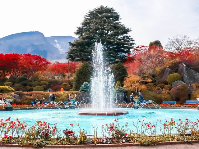 GORA - OWAKUDANI - OSHINO HAKKAI - KAWAGUCHIKO - MOUNT FUJI - TOKYO.