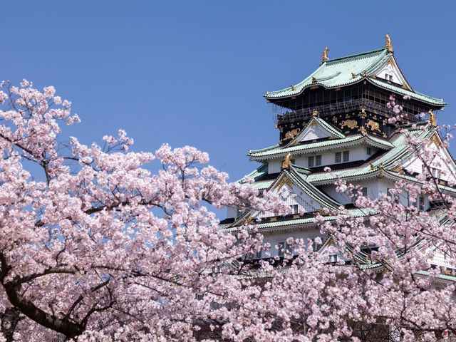 KOBE - OSAKA - MOUNT KOYA.