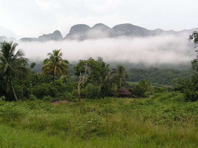 Hike in the Viñales Valley "Coco Solo - Palmarito", Viñales, Pinar del Río, Cuba.