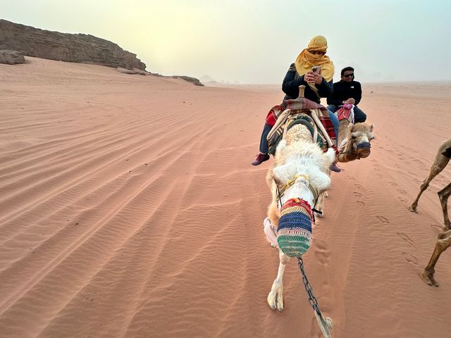 Wadi Rum Protected Area panoramic view, Jordan.