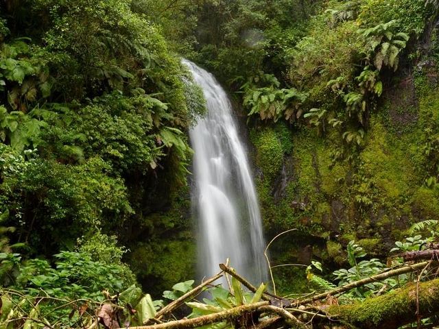 ANTSIRANANA (DIEGO SUAREZ) – PARC NATIONAL DE LA MONTAGNE D'AMBRE.