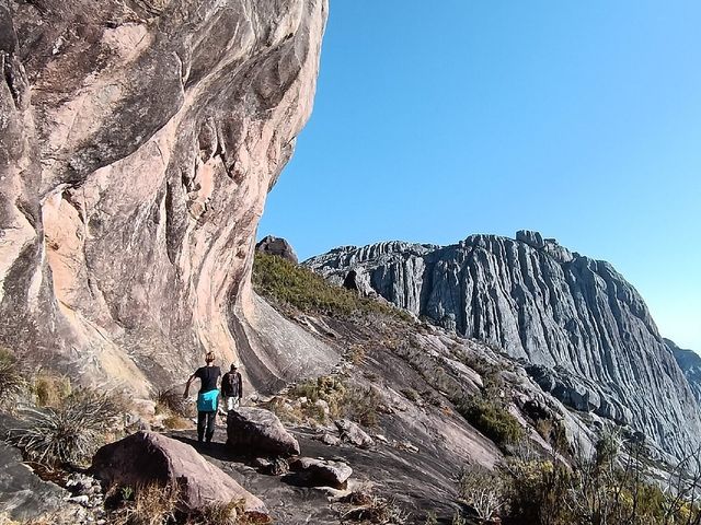 ANDASIBE – PARC NATIONAL D’ANDRINGITRA.