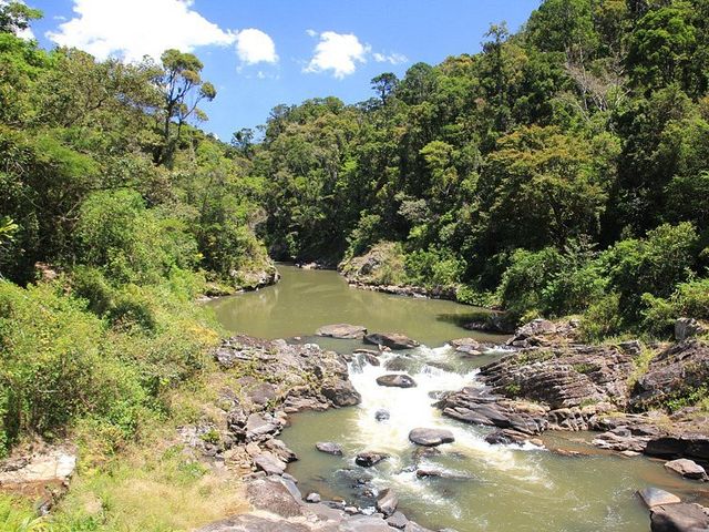 ANDRINGITRA - PARC NATIONAL DE RANOMAFANA.