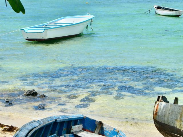 Island of Mauritius panoramic view, Mauritius, Africa.