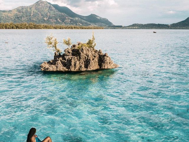 Island of Mauritius panoramic view, Mauritius, Africa.