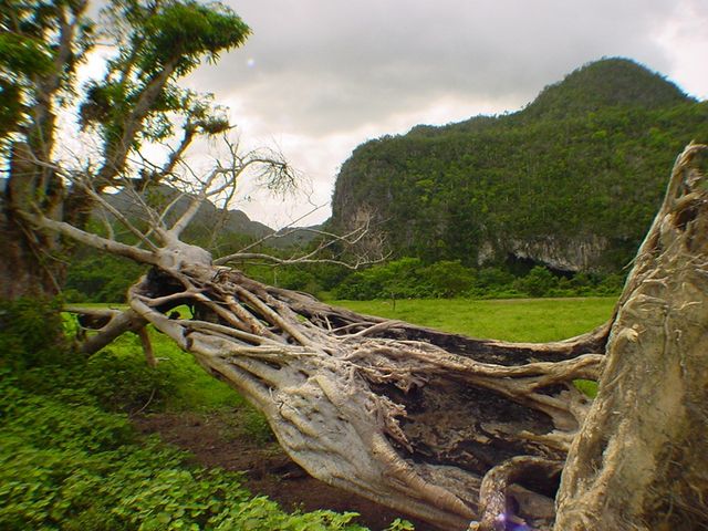 Ancón valley panoramic view, Pinar del Río