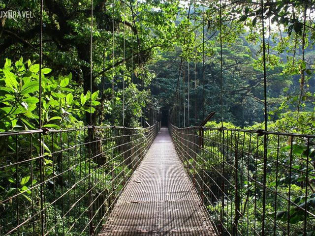 Monteverde Cloud Forest Reserve panoramic view, Costa Rica