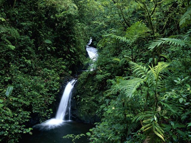 Monteverde Cloud Forest Reserve panoramic view, Costa Rica