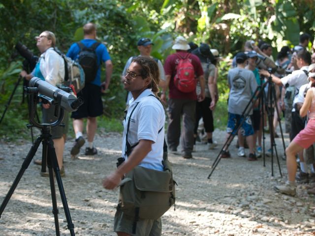 Bird watching tours at Manuel Antonio National Park, Costa Rica
