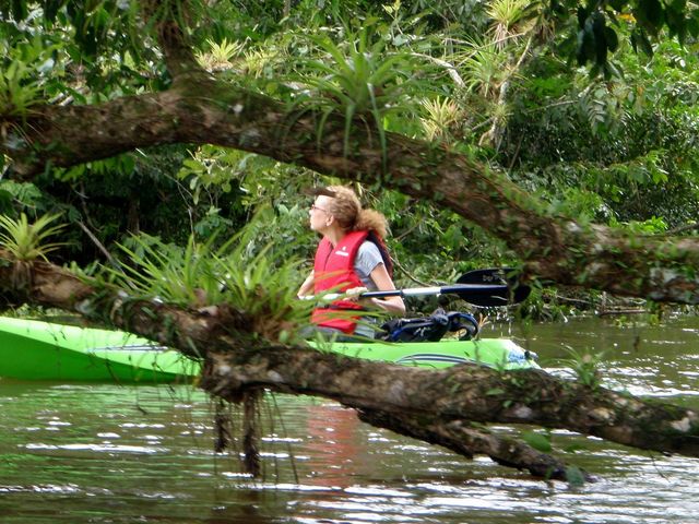 Kayaking tour at La Fortuna de San Carlos National Park, Costa Rica
