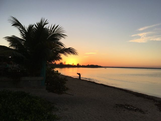 Playa Larga panoramic view, Cienaga de Zapata National Park, Matanzas, Cuba.