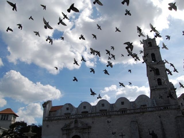 San Francisco Square, panoramic view, EXCELLENCES OF CUBA Group Tour
