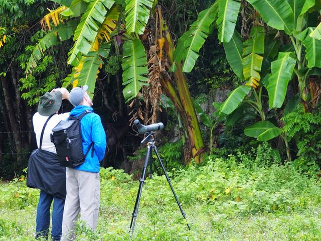 THE MOST COMPLETE BIRDWATCHING TOUR IN CUBA.