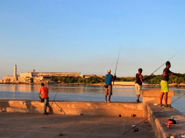 Los Tres Reyes del Morro casttle and the entrance of Havana bay panoramic view, Old Havana, Havana, Cuba. THE MOST COMPLETE BIRDWATCHING TOUR IN CUBA.