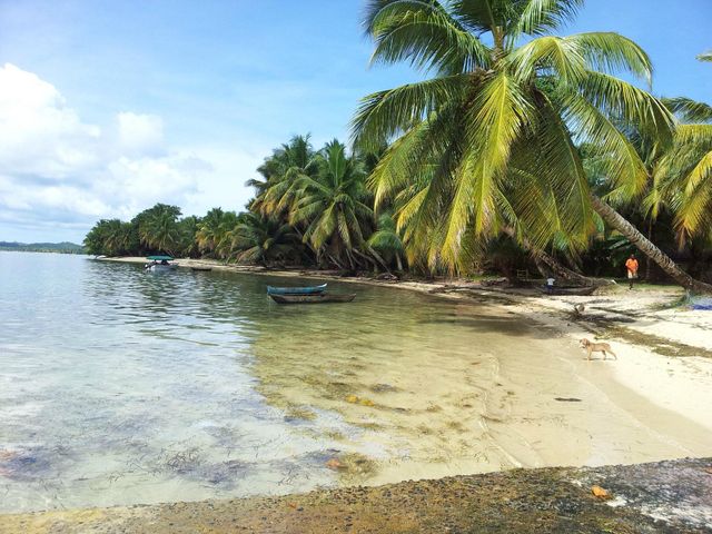 MAHAMBO - SOANIERANA IVONGO - SAINTE MARIE.