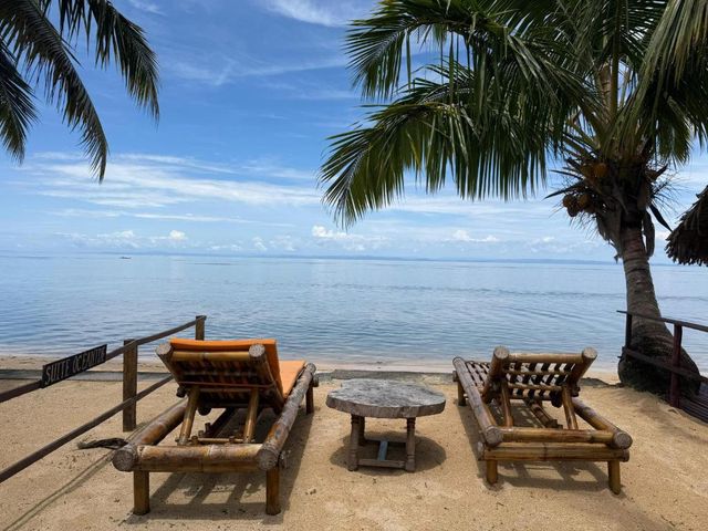 MAHAMBO - ÎLE AUX NATTES.
