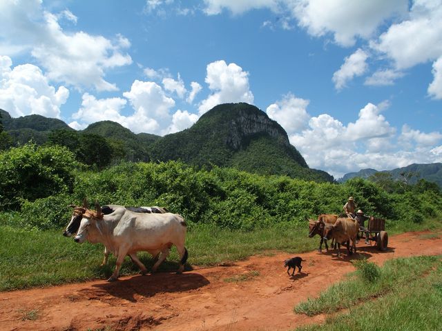 Viñales valley panoramic view, Pinar del Río