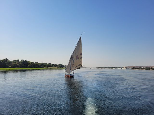 A ride in a “felucca”—traditional sailboats from the Aswan area, Egypt.