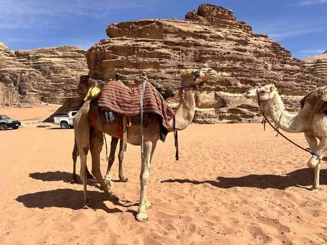Wadi Rum Protected Area panoramic view, Jordan. 