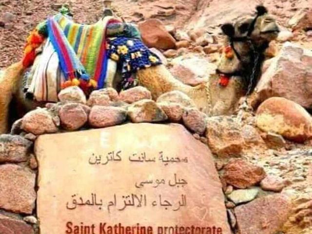 SANTA CATERINA - POZZI DI MOSÈ - IL CAIRO.