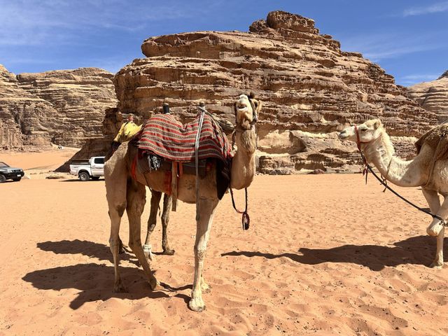 Wadi Rum Protected Area panoramic view, Jordan. 