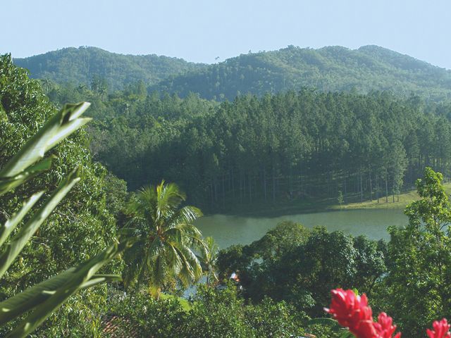 Las Terrazas community panoramic view