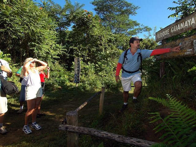 Trekking tours at Guanayara park, Topes de Collantes