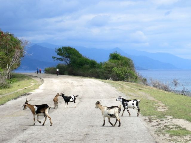 BIKE TOUR SELF-GUIDED EASTERN CUBA.