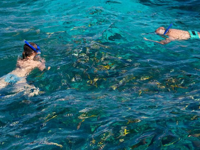 Snorkeling at the coral reef, Cayo Las Brujas beach