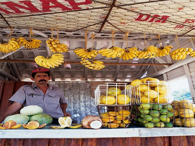 Cuban tradition´s at Viñales valley