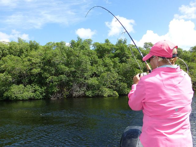 Fly Fishing in Hatiguanico river, Zapata peninsula, Matanzas, Cuba.