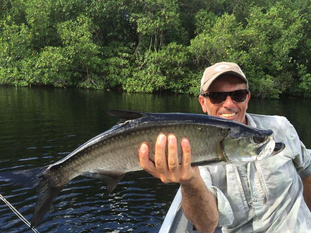 Tarpon (Sabalo) fly Fishing in Hatiguanico river, Zapata peninsula, Matanzas, Cuba.