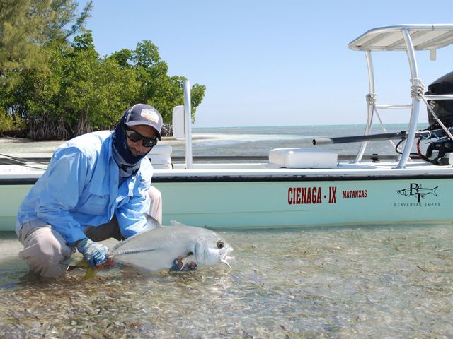 Permit (Palometa) fly Fishing in Salinas de Brito, Zapata peninsula, Matanzas, Cuba.