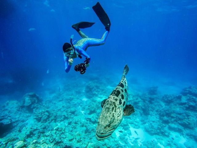 Dive adventure at Lizard Island, Queensland, Australia.