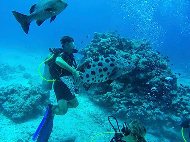 Dive adventure at Lizard Island, Queensland, Australia.