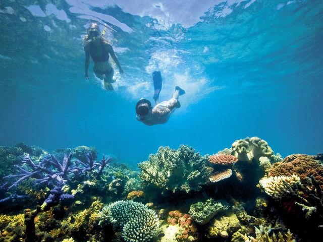 Snorqueling adventure in Lizard Island, Queensland, Australia.