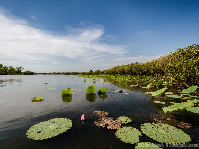 Mary River National Park panoramic view, Northern Territory of Australia.