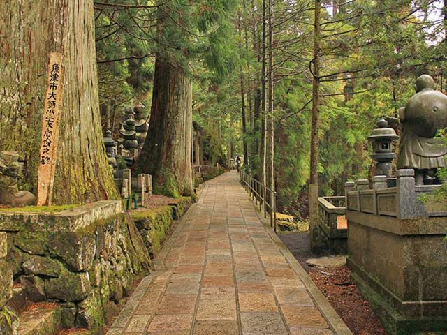 MONTE KOYA - KIOTO.