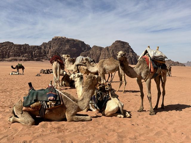 Wadi Rum Protected Area panoramic view, Jordan. 