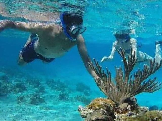 Snorkeling in the Turquoise Waters of the Bay of Pigs, Zapata peninsula, Matanzas, Cuba.
