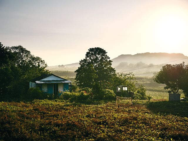 Viñales Valley panoramic view, Viñales, Pinar del Río, Cuba.