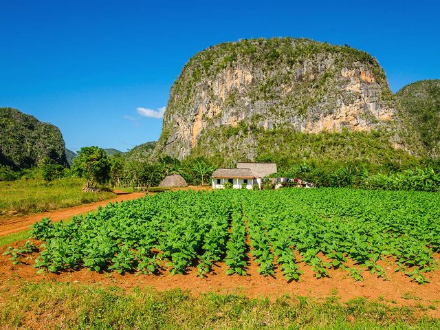 Tour en groupe CUBA TRADITIONNELLE.