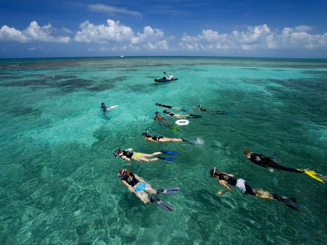 Snorkeling at the coral reef, Caye Caulker, Belize