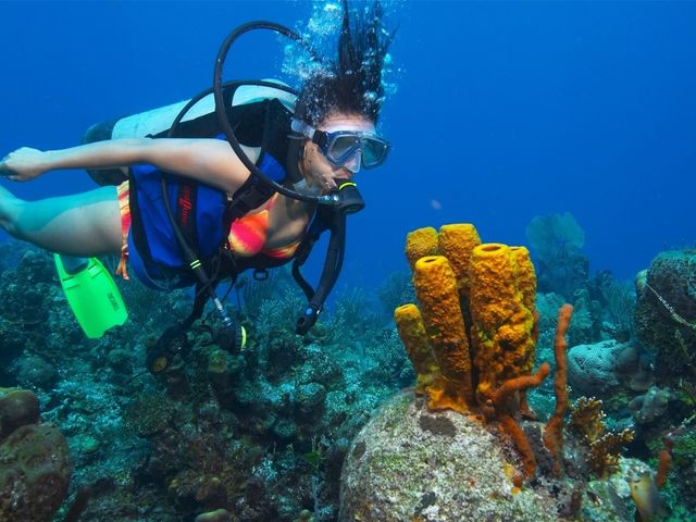 Scuba diving tour in Caye Caulker, Belize