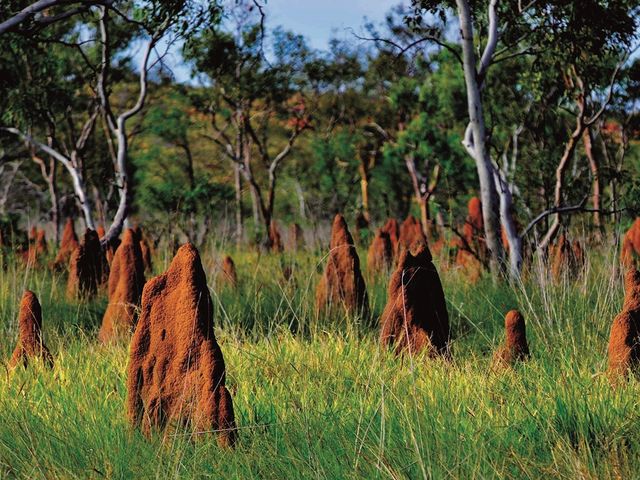 The ancient sandstone rocks in Litchfield National park panoramic view, Northern Territory (NT), Australia.