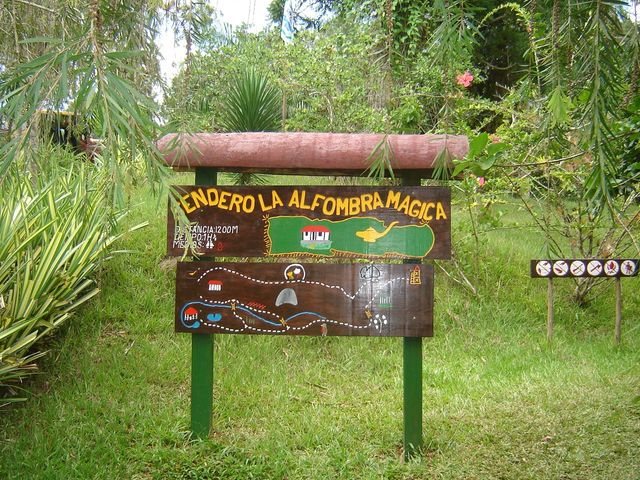 Codina Natural Park panoramic view, Topes de Collantes, Sancti Spíritus, Cuba.