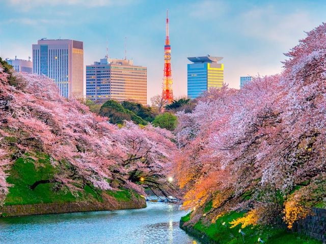 TOKYO.