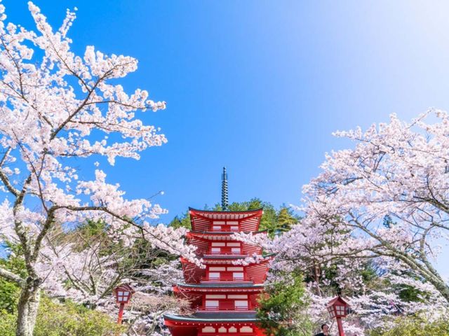TOKYO - MOUNT FUJI - KAWAGUCHIKO.