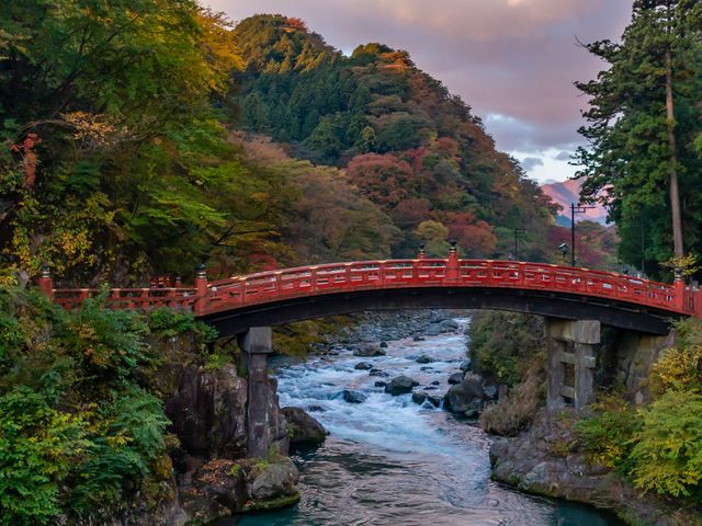 IKAHO - NIKKO - TOKYO.